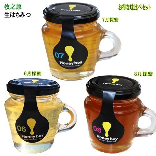 濃厚なコク!しっかりした甘み 静岡 牧之原 生はちみつ 送料無料 6〜8月採蜜 Hanyboy-0678 非加熱 無農薬 天然生蜂蜜 蜂蜜 無添加 ハニー 完熟純粋 ミックス