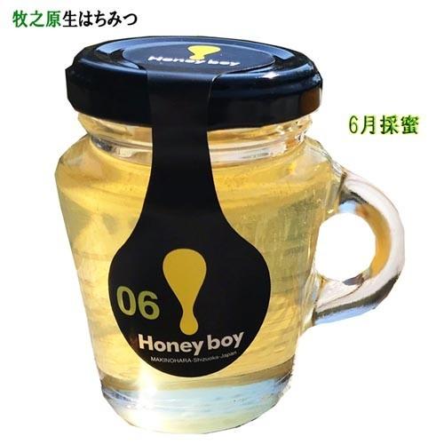 濃厚なコク!しっかりした甘み 静岡 牧之原 生はちみつ 送料無料 6〜8月採蜜 Hanyboy-0678 非加熱 無農薬 天然生蜂蜜 蜂蜜 無添加 ハニー 完熟純粋 ミックス
