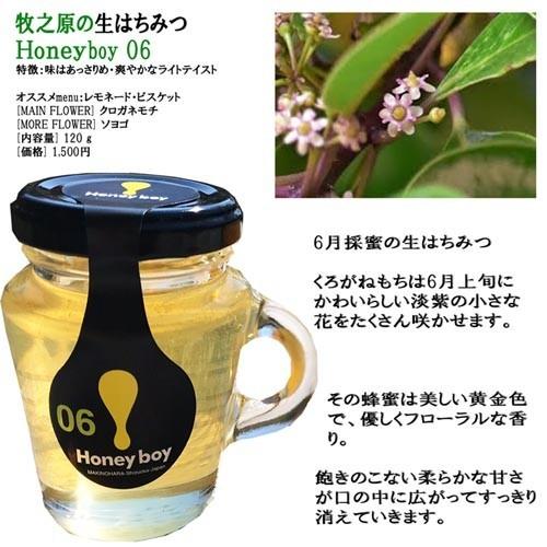 濃厚なコク!しっかりした甘み 静岡 牧之原 生はちみつ 送料無料 6〜8月採蜜 Hanyboy-0678 非加熱 無農薬 天然生蜂蜜 蜂蜜 無添加 ハニー 完熟純粋 ミックス