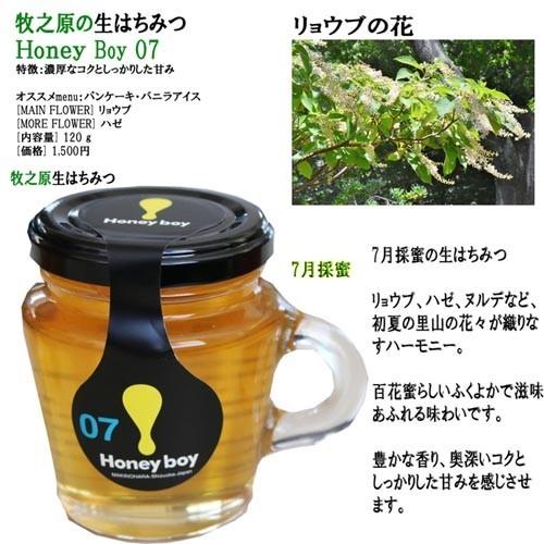 濃厚なコク!しっかりした甘み 静岡 牧之原 生はちみつ 送料無料 6〜8月採蜜 Hanyboy-0678 非加熱 無農薬 天然生蜂蜜 蜂蜜 無添加 ハニー 完熟純粋 ミックス