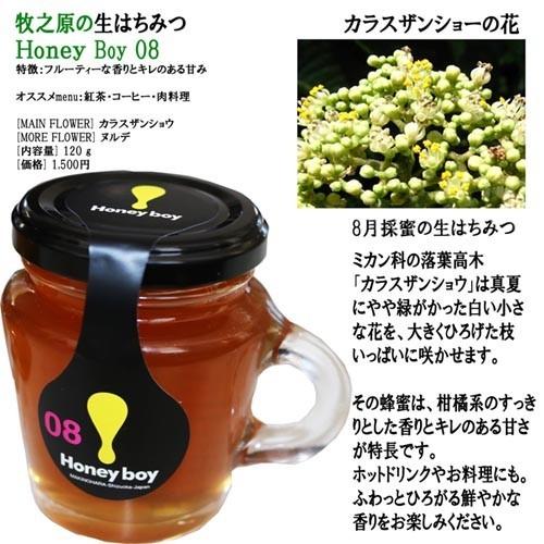 濃厚なコク!しっかりした甘み 静岡 牧之原 生はちみつ 送料無料 6〜8月採蜜 Hanyboy-0678 非加熱 無農薬 天然生蜂蜜 蜂蜜 無添加 ハニー 完熟純粋 ミックス