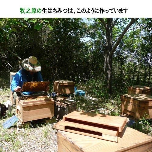濃厚なコク!しっかりした甘み 静岡 牧之原 生はちみつ 送料無料 6〜8月採蜜 Hanyboy-0678 非加熱 無農薬 天然生蜂蜜 蜂蜜 無添加 ハニー 完熟純粋 ミックス