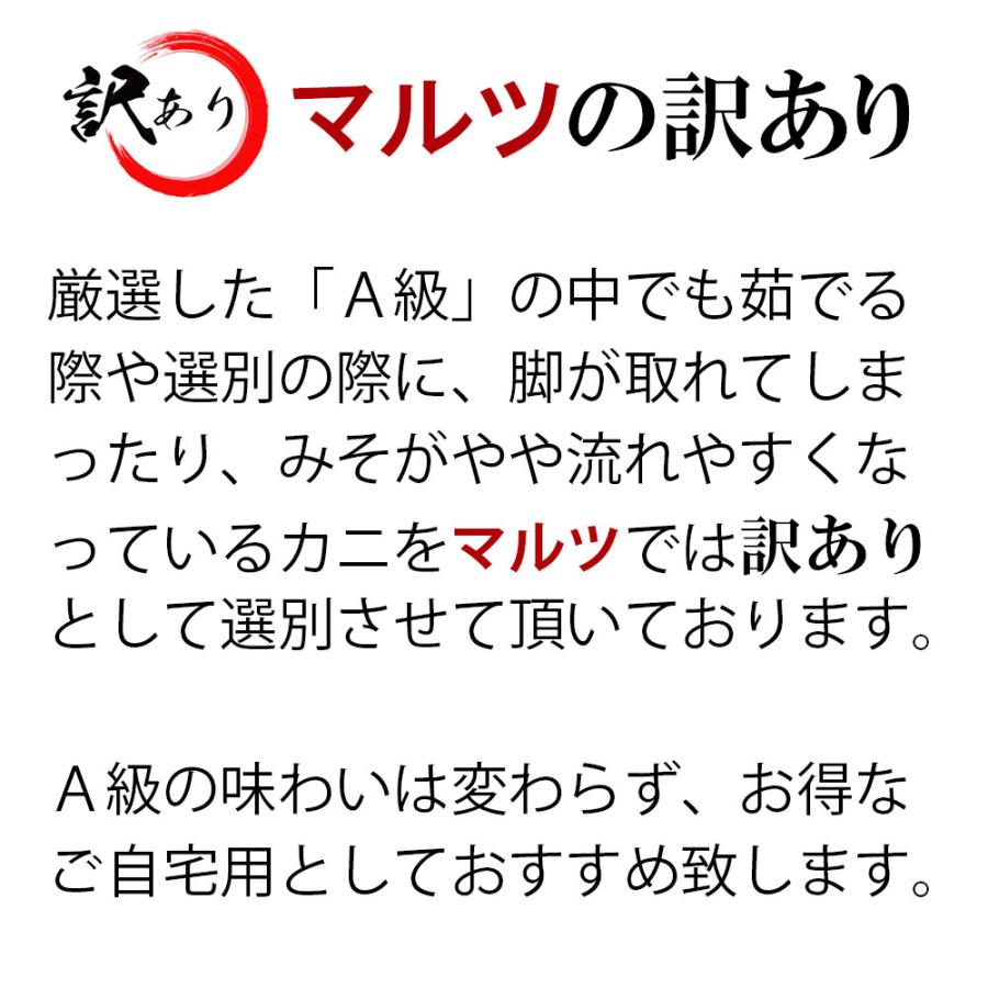 創業50年 境港カニ専門店マルツ【A級訳有】冷蔵 紅ズワイガニ 2kg以上（小中・400ｇ以上×5杯）ボイル 蟹 訳あり 格安 かに カニ 姿｜marutsu-sakaiminato｜04