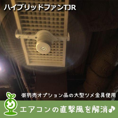 KING JIM（キングジム） ハイブリッドファンTJR(ハーフクリア）株式