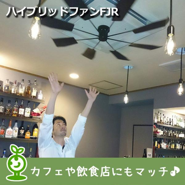KING JIM エアコン 風よけ ハイブリッドファン FJR (ブラック KING JIM エアコン 風よけ ハイブリッドファン FJR (ブラック