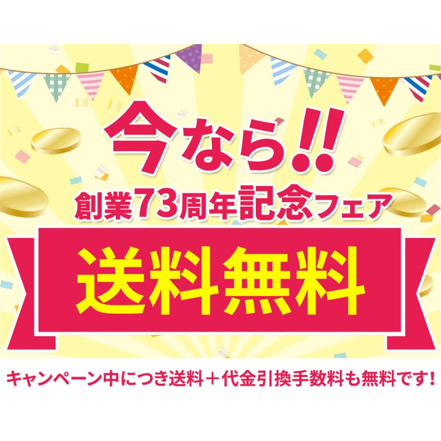 エアーサクセス7 Air-Success 7 イオン除菌消臭器 オゾン発生器 低濃度