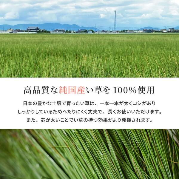 HAGiHARA ラグ 国産い草ラグ カーペット 約191×191cm 三重織 裏 HAGiHARA ラグ 国産い草ラグ カーペット 約191×191cm 三重織 裏