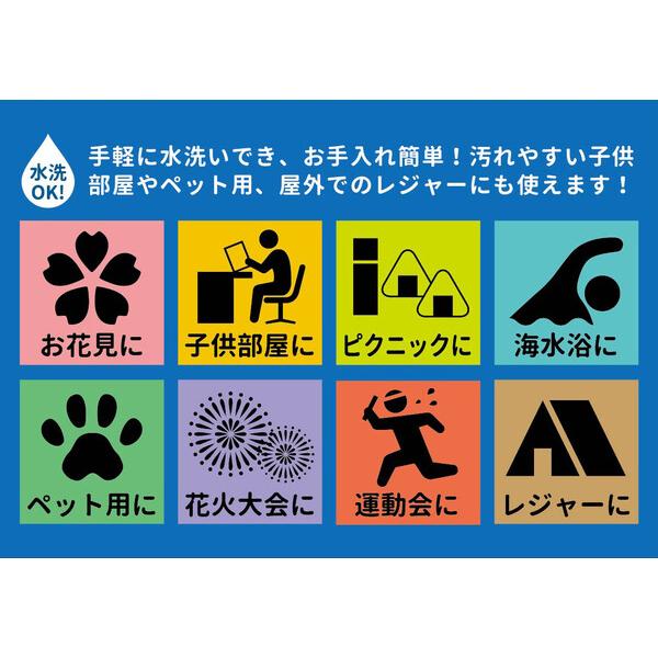 HAGiHARA PP柄上敷き 江戸間12.5畳 い草風花ござ 水洗いOK 矢倉 HAGiHARA PP柄上敷き 江戸間12.5畳 い草風花ござ 水洗いOK 矢倉