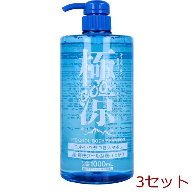 極涼COOL アイスクールボディシャンプー さわやかなフレッシュシトラス