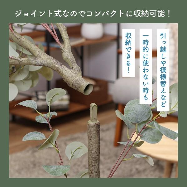 不二貿易（Fuji Boeki） フェイクグリーン ユーカリ 150cm ジョイント