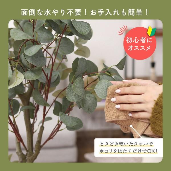 不二貿易（Fuji Boeki） フェイクグリーン ユーカリ 150cm ジョイント