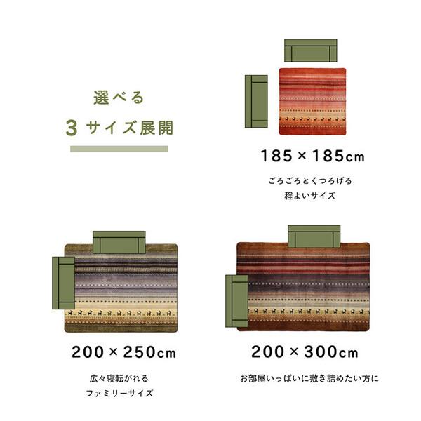 ラグ 約185×185cm 洗える ギャベ 防音 ホットカーペット対応 DXラディ