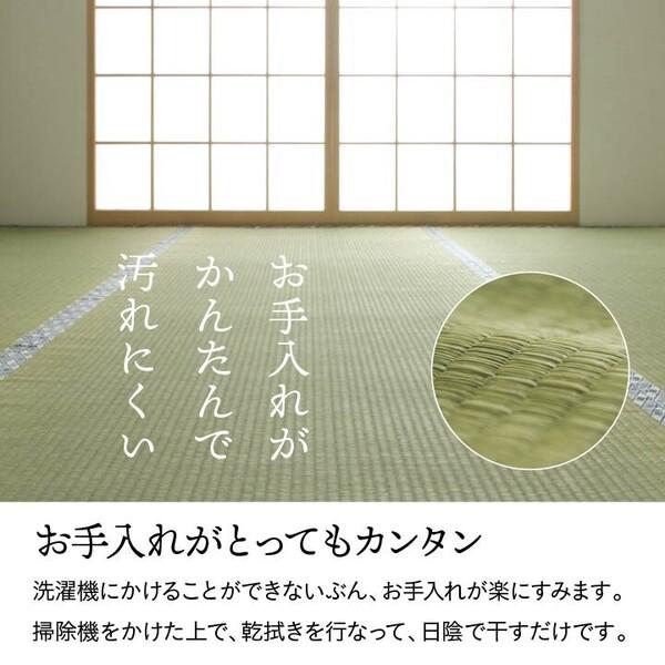 カーペット 純国産 い草 江戸間6畳(約261×352cm) 上敷き 上質ない草で作った カーペット 双目織 白浜_3