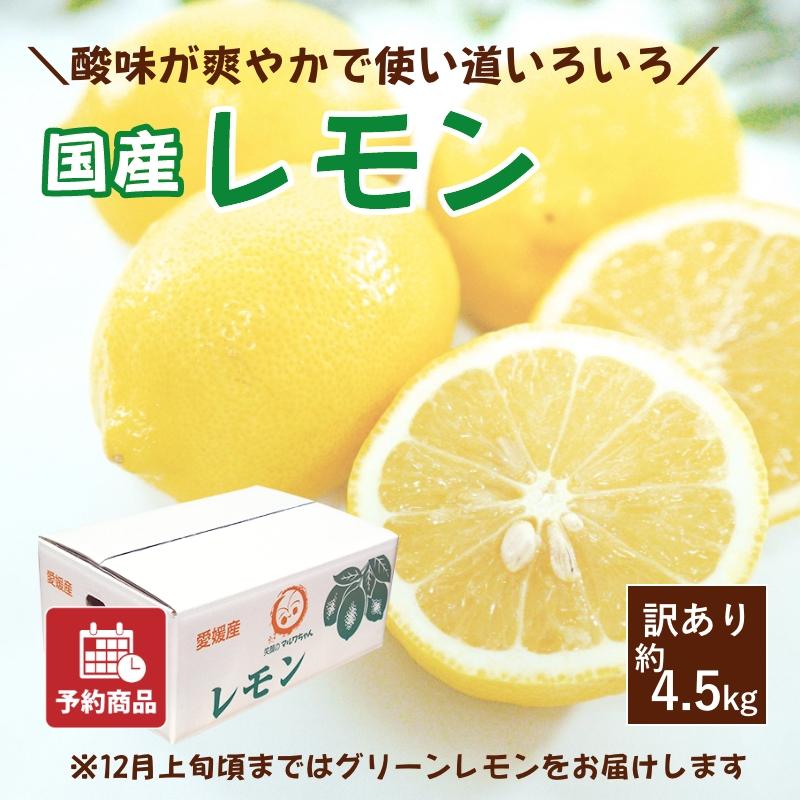 レモン 訳あり 約4.5kg 国産 愛媛産 送料無料 産地直送 柑橘 フルーツ