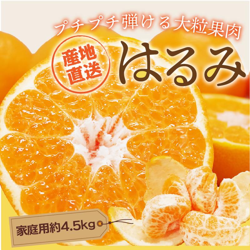 2026年3月】南柑20号のおすすめ人気ランキング - Yahoo!ショッピング