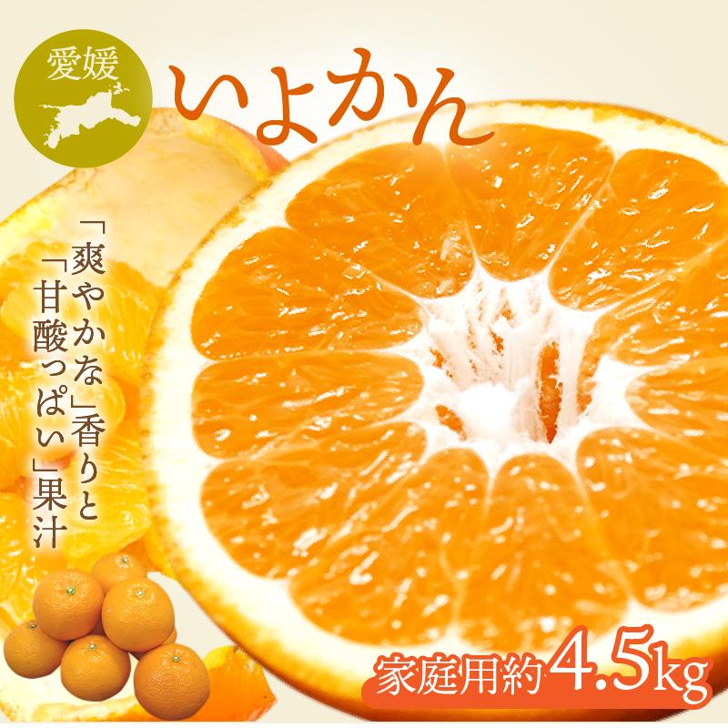 いよかん 伊予柑 家庭用 約4.5kg 愛媛県産みかん みかん 柑橘類