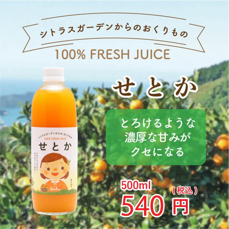 【言の葉】ジュース500ｍｌ×6本＊３か所　　せとか４本×２か所 愛媛県産 みかんジュース せとか シトラスガーデンからのおくりもの