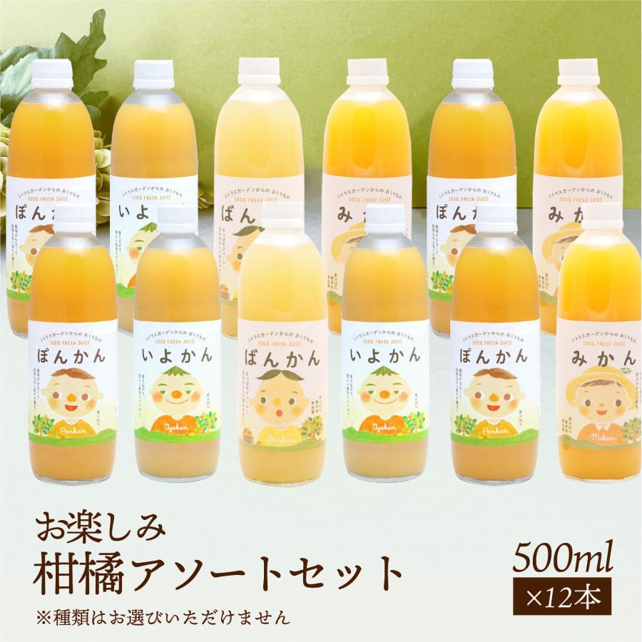 愛媛県産 みかんジュースセット マルワフルーツ お楽しみ柑橘