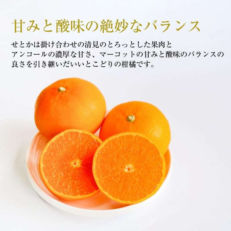 みかん せとか お試しサイズ 約1.5kg 50ケース限定 愛媛産 送料 みかん せとか お試しサイズ 約1.5kg 50ケース限定 愛媛産 送料