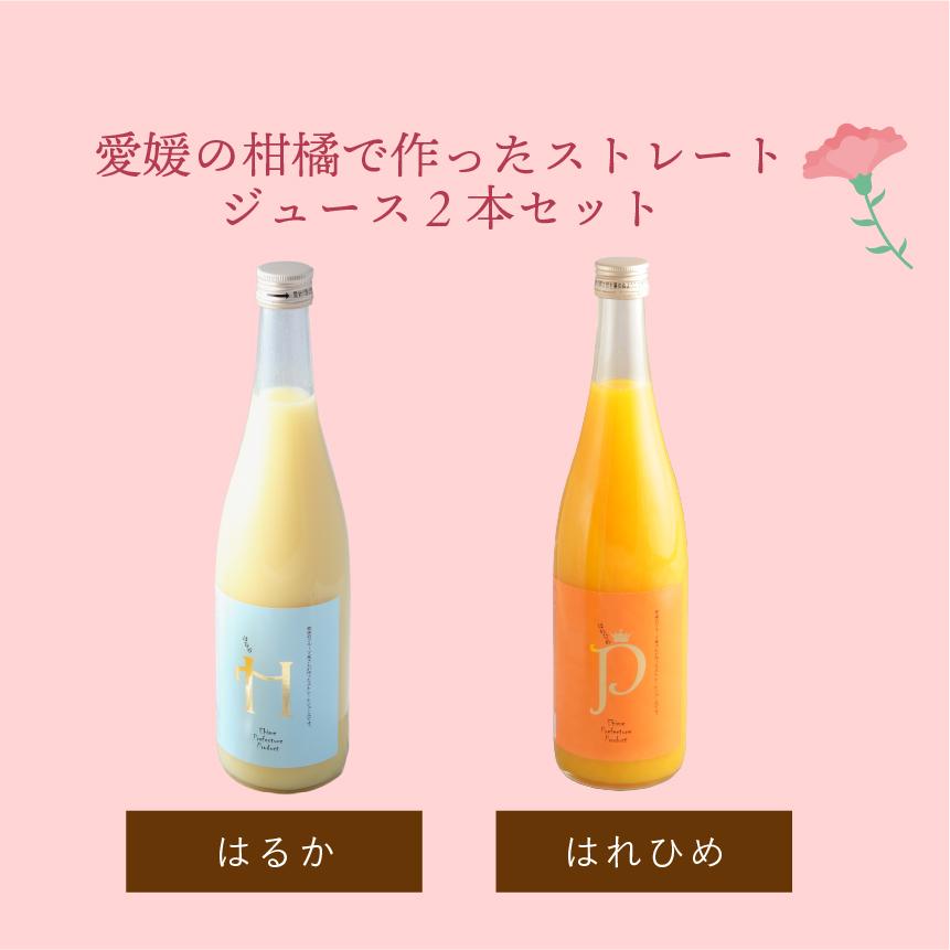 母の日 プレゼント 母の日ギフト はれひめ はるか ジュースセット 720ml×2本 送料無料 産地直送 予約商品｜maruwa-fruit｜03