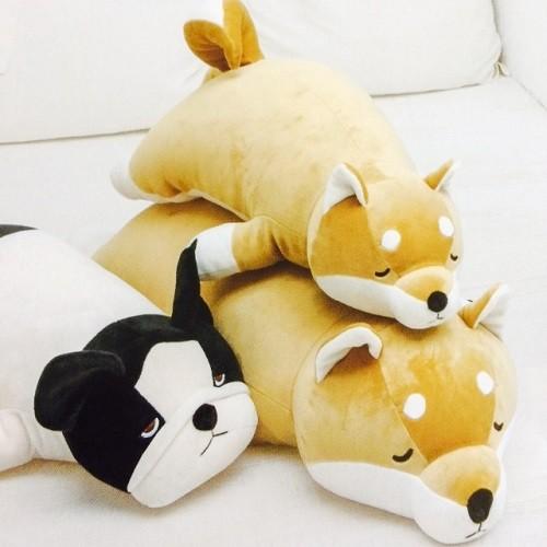 ねむねむプレミアム 柴犬のコタロウ 抱きまくら L Nemunemu Premium 44 抱き枕 ピロークッション ぬいぐるみ ヌイグルミ お昼寝枕 44 Select Maruwa 通販 Yahoo ショッピング