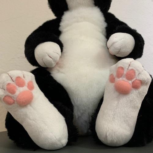 ✡️【新品タグ付き】カドリー　イケメン猫　甚五郎、日本製、高級品 カドリー ねこ ぬいぐるみ 甚五郎【Cuddly／ヌイグルミ／ねこ