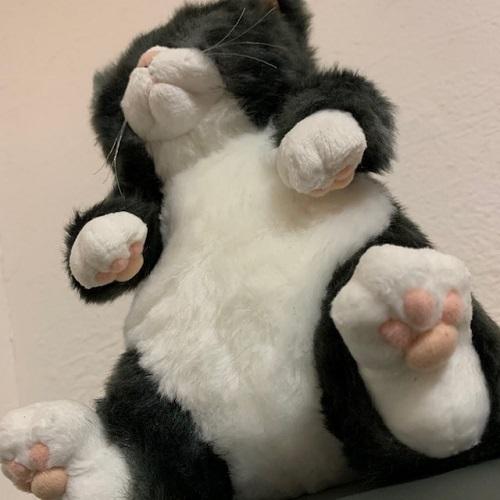 【個別販売商品002】カドリー 仔ねこ ぬいぐるみ ちびソメ（Chibisome） 灰トラ【ソメゴロー／Cuddly／ヌイグルミ／猫／仔猫／日本製】の画像