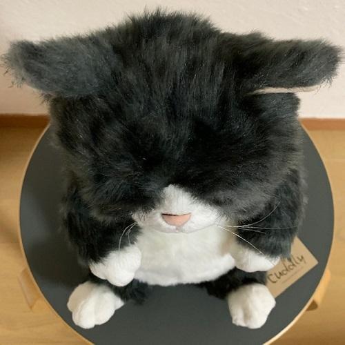 【個別販売商品002】カドリー 仔ねこ ぬいぐるみ ちびソメ（Chibisome） 灰トラ【ソメゴロー／Cuddly／ヌイグルミ／猫／仔猫／日本製】の画像