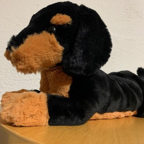 ひざわんこ ダックス ブラック 黒 ぬいぐるみ【いぬぬいぐるみ ひざわんこ ダックス ブラック 黒 ぬいぐるみ【いぬぬいぐるみ