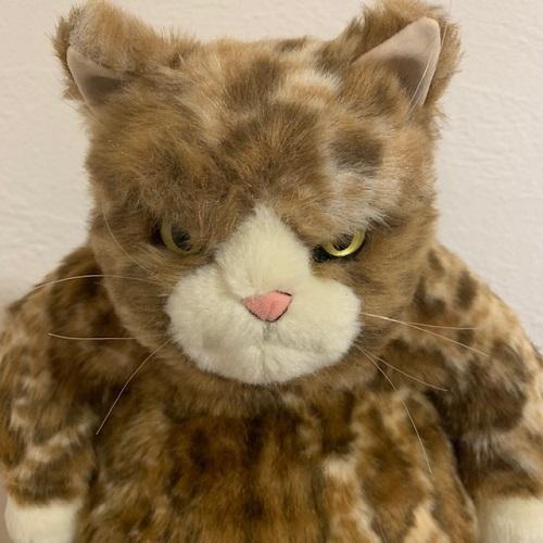 カドリー　ねこ　ムッシュ　ぬいぐるみ Cuddly（ぬいぐるみ） ムッシュ｜Cuddly（カドリー）猫