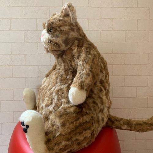 カドリー ねこ ぬいぐるみ ムッシュ【Cuddly／カドリーヌイグルミ
