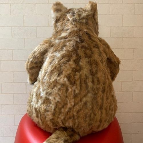 カドリー ねこ ぬいぐるみ ムッシュ【Cuddly／カドリーヌイグルミ
