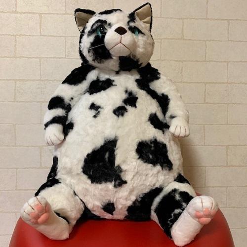 Cuddlyカドリー バジル 猫ねこネコ 高級ぬいぐるみ 日本製