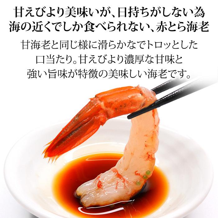 赤がすえび 赤とらえび 500g 20〜40匹 お刺身用 石川県産 ガスエビ えび 海老 贈答 ギフト 産地直送 お取り寄せ 送料無料 |  | 03