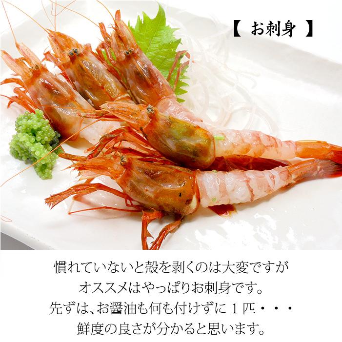 赤がすえび 赤とらえび 500g 20〜40匹 お刺身用 石川県産 ガスエビ えび 海老 贈答 ギフト 産地直送 お取り寄せ 送料無料 |  | 06