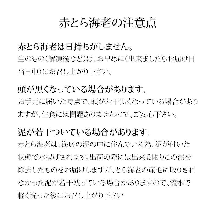 赤がすえび 赤とらえび 500g 20〜40匹 お刺身用 石川県産 ガスエビ えび 海老 贈答 ギフト 産地直送 お取り寄せ 送料無料 |  | 07