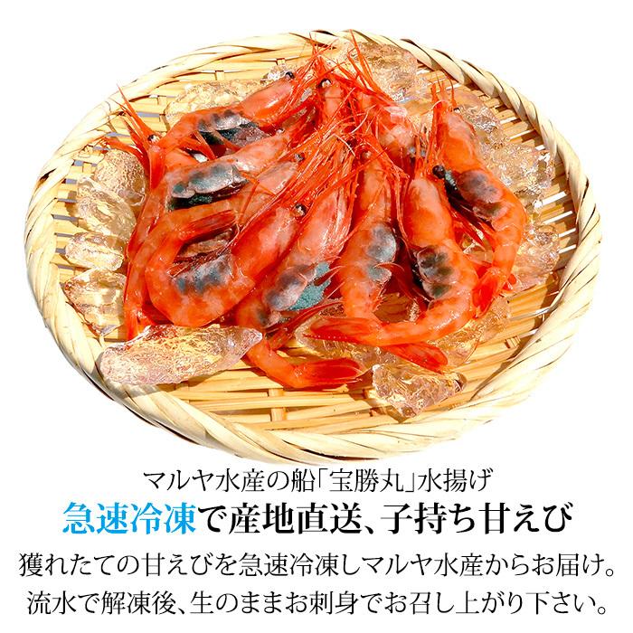 甘えび 甘海老 子持ち 250g 15〜20匹 お刺身用 石川県産 えび 海老 贈答 ギフト 産地直送 お取り寄せ 2セットで送料無料 |  | 01