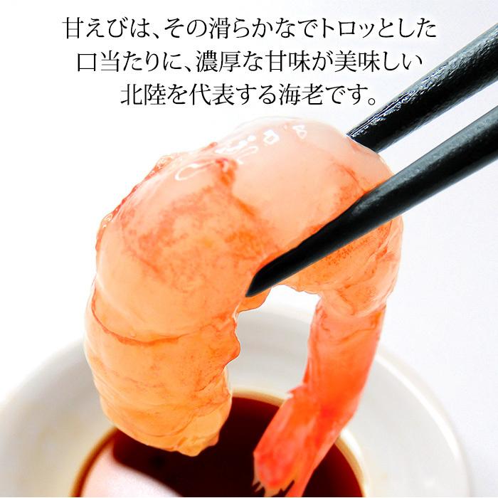 甘えび 甘海老 子持ち 250g 15〜20匹 お刺身用 石川県産 えび 海老 贈答 ギフト 産地直送 お取り寄せ 2セットで送料無料 |  | 03