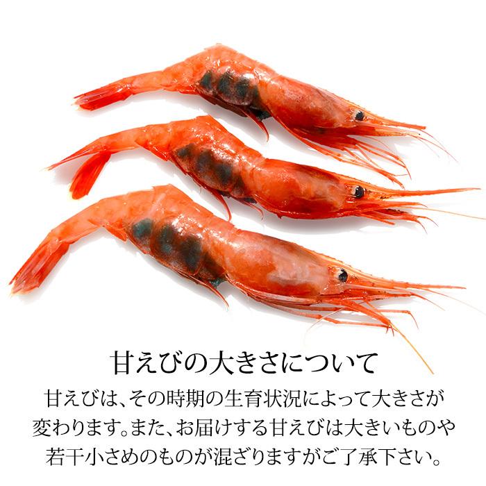 甘えび 甘海老 子持ち 250g 15〜20匹 お刺身用 石川県産 えび 海老 贈答 ギフト 産地直送 お取り寄せ 2セットで送料無料 |  | 04