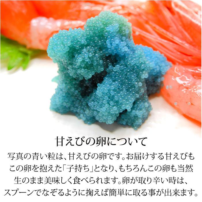 甘えび 甘海老 子持ち 250g 15〜20匹 お刺身用 石川県産 えび 海老 贈答 ギフト 産地直送 お取り寄せ 2セットで送料無料 |  | 05