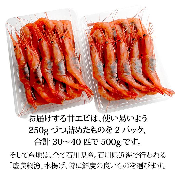 甘えび 甘海老 子持ち 500g 30〜40匹 お刺身用 石川県産 えび 海老 贈答 ギフト 産地直送 お取り寄せ 送料無料 |  | 02