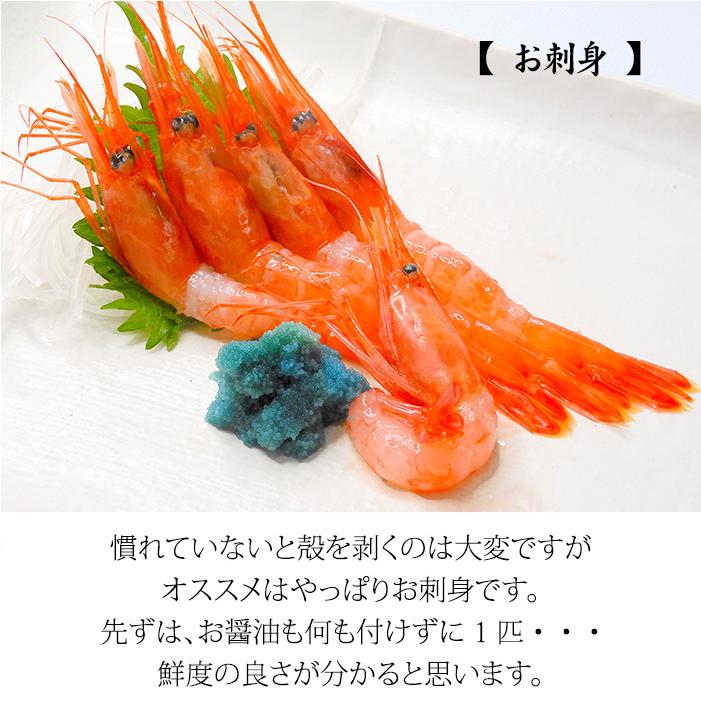 甘えび 甘海老 子持ち 500g 30〜40匹 お刺身用 石川県産 えび 海老 贈答 ギフト 産地直送 お取り寄せ 送料無料 |  | 06