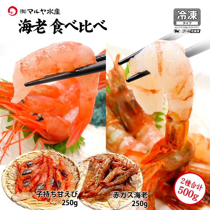甘エビ 子持ち ＆ 赤ガスエビ 食べ比べ セット 合計500g お刺身用 石川県産 ガスエビ えび 海老 産地直送 お取り寄せ 送料無料 | 