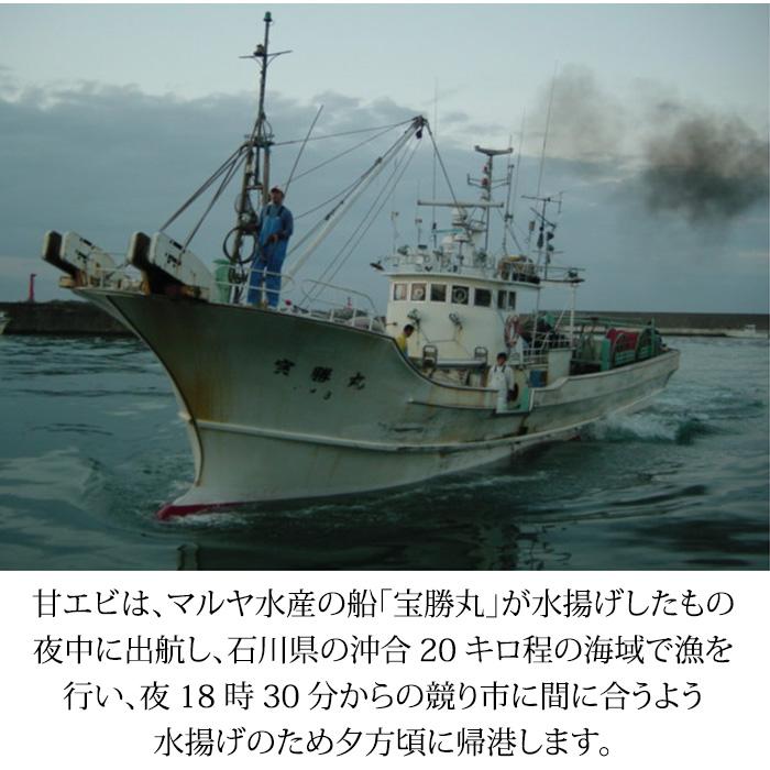 甘エビ 子持ち ＆ 赤ガスエビ 食べ比べ セット 合計500g お刺身用 石川県産 ガスエビ えび 海老 産地直送 お取り寄せ 送料無料 |  | 13
