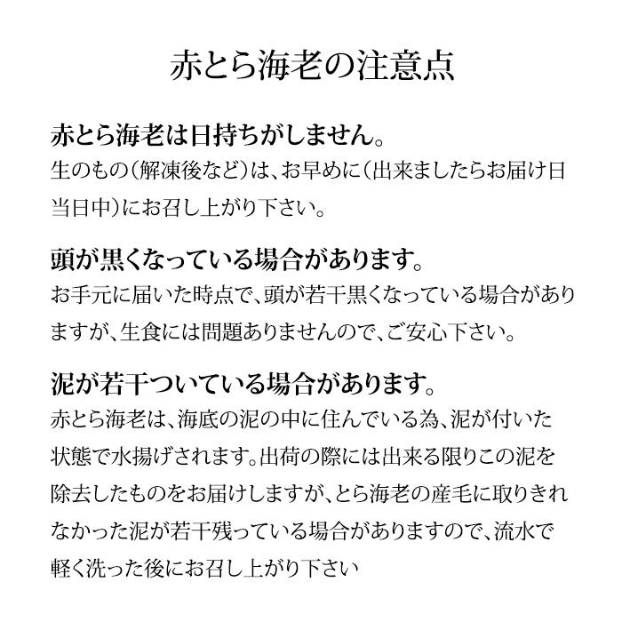 甘エビ 子持ち ＆ 赤ガスエビ 食べ比べ セット 合計500g お刺身用 石川県産 ガスエビ えび 海老 産地直送 お取り寄せ 送料無料 |  | 16