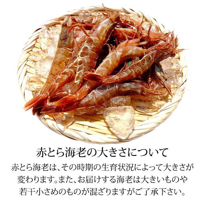 塩徳屋 寿司桶 赤 エビの絵柄 塩徳屋 寿司桶 赤 エビの絵柄