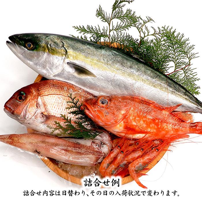 低価格の 下処理済み 旬の獲れたて秋の高級鮮魚 石川