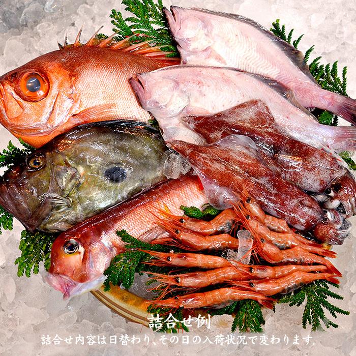お中元 ギフト 四季の魚を直送 旬の獲れたて高級鮮魚 6 7種類詰め合わせ 石川県産 主にお刺身用 下処理済み お届け日の指定不可 Fishset2 加賀 橋立港 マルヤ水産 通販 Yahoo ショッピング