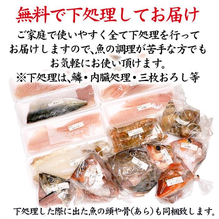 石川県 旬の魚 お刺身用 鮮魚詰合せ お魚BOX 6〜7種 ( 下処理無料 冷蔵便 ) ※お届け日指定不可 贈答 ギフト 産地直送 お取り寄せ 送料無料｜maruya｜07