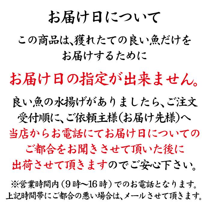 お中元 ギフト 四季の魚を直送 旬の獲れたて高級鮮魚 6 7種類詰め合わせ 石川県産 主にお刺身用 下処理済み お届け日の指定不可 Fishset2 加賀 橋立港 マルヤ水産 通販 Yahoo ショッピング